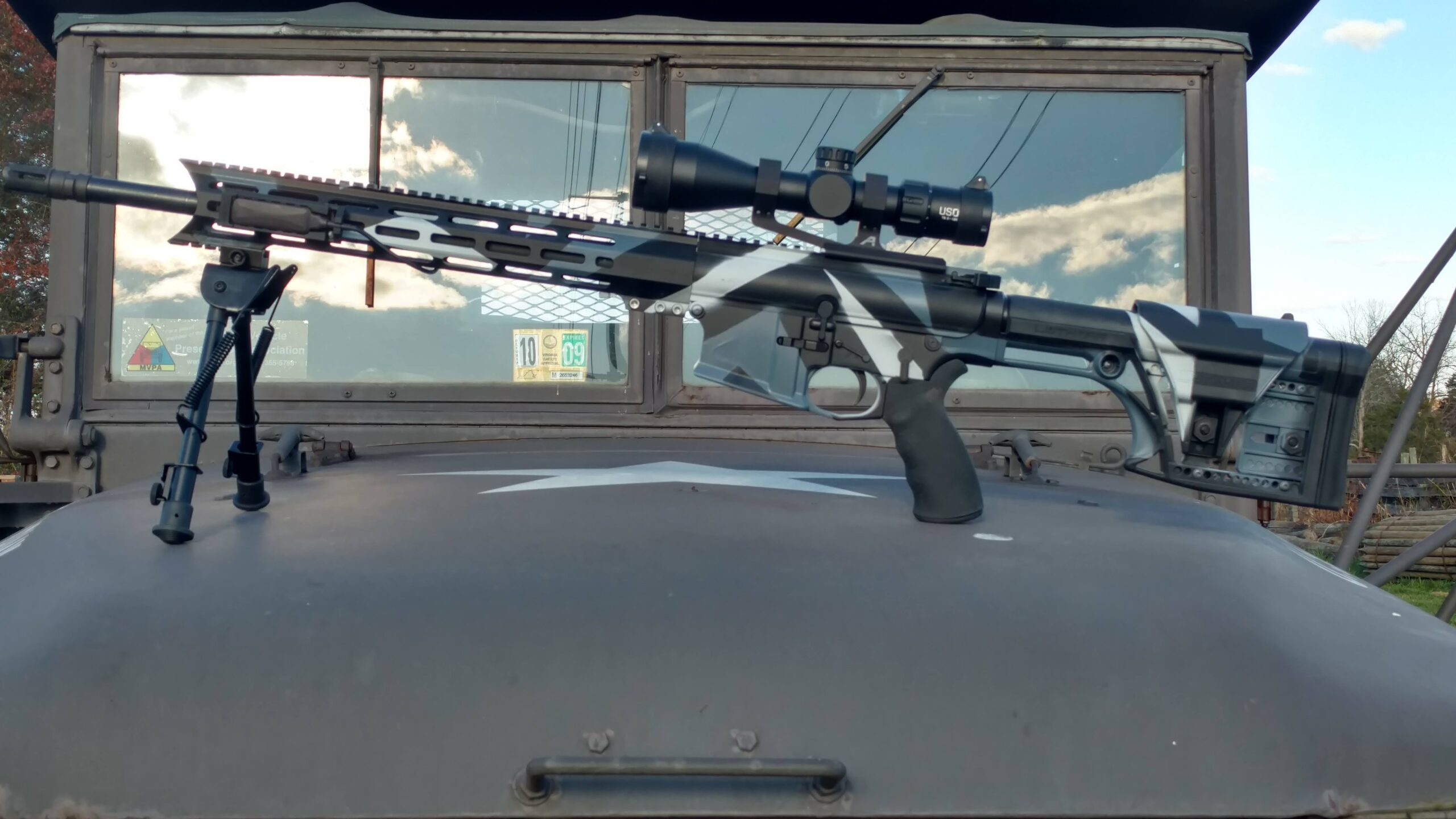 SC10 tiger stripe camo AR