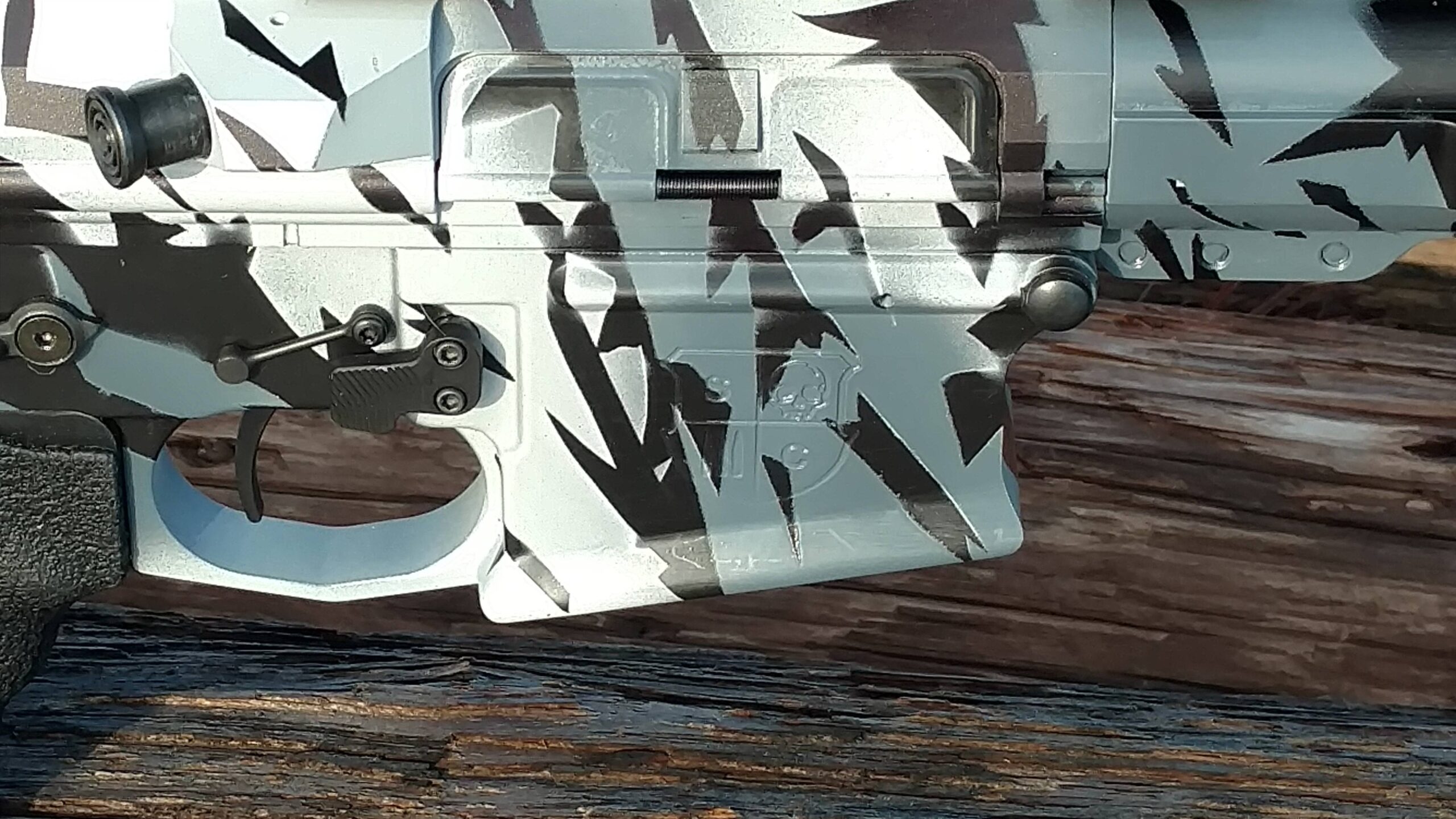SC10 shield logo detail