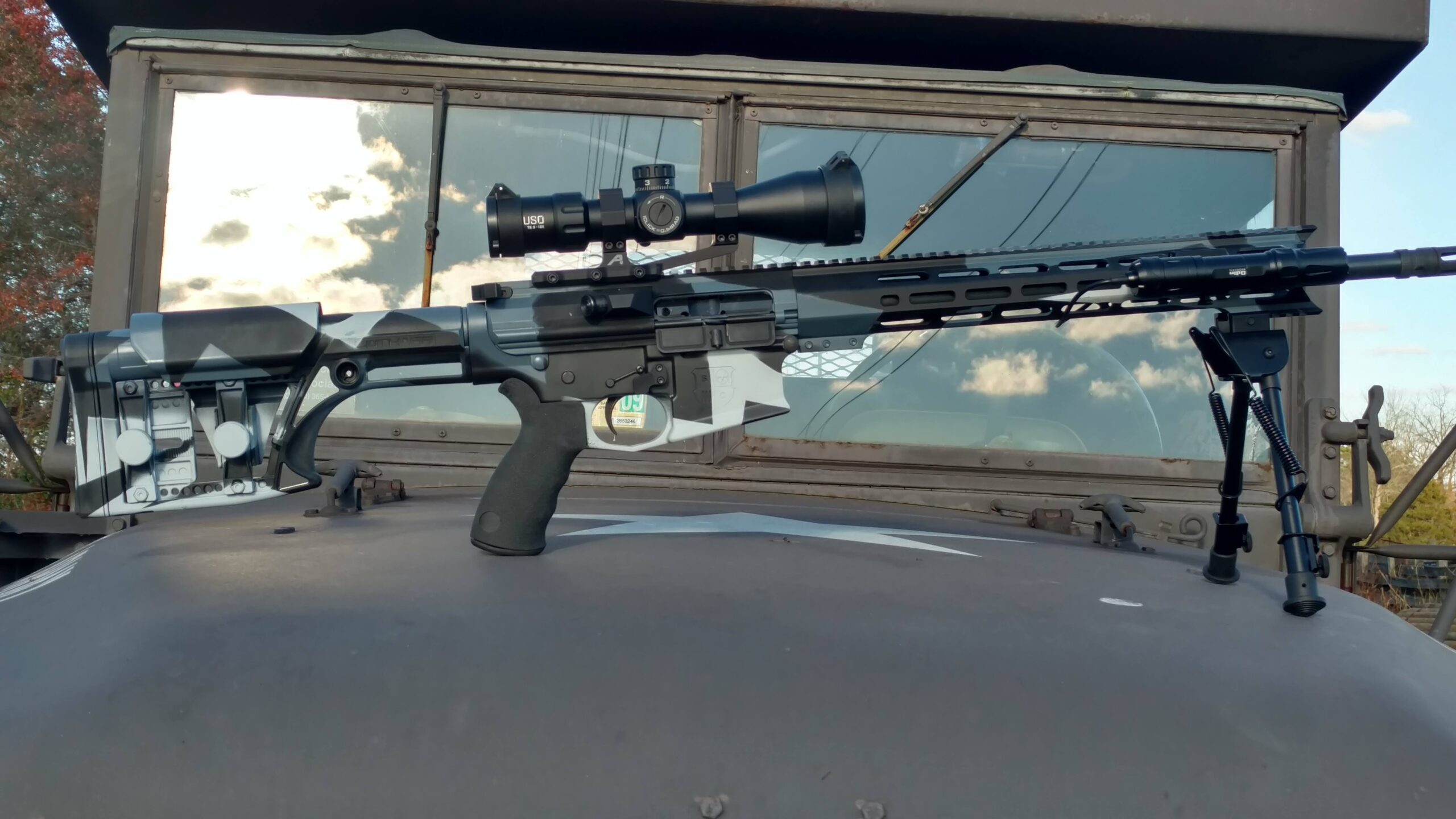 SC10 tiger stripe camo AR
